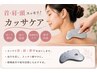 カッサ（首・肩・頭）  30分3300円