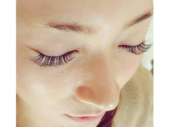 ルピナス(Lupinus)/ボリュームラッシュ600本