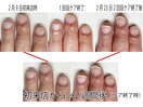 自爪育成/地爪育成/美爪育成
