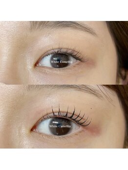 ホワイトカメリア 上本町店(White Camellia)/マツエクサロン/まつげパーマ