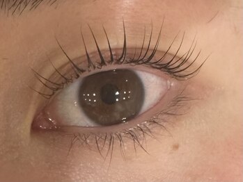 テラスアヴェダ ららぽーとエキスポシティ(Terrace AVEDA)/パリジェンヌ