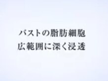 サラエクセレント 新宿(SARA EXCELLENT)/《バストアップ》