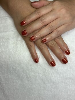 オランダエステティック(Holland Esthetics)/ワンカラー