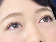 デイリー ラッシュ(DAILY LASH)/プレミアムセーブル100本