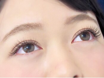 デイリー ラッシュ(DAILY LASH)/プレミアムセーブル100本