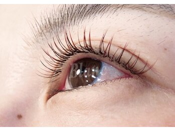 アイラッシュサロン ブラン 西新井店(Eyelash salon Blanc)/シングルエクステワインレッド