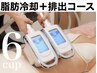脂肪冷却6＋クワットキャビ＋脂肪分解溶液導入＋筋膜リリース