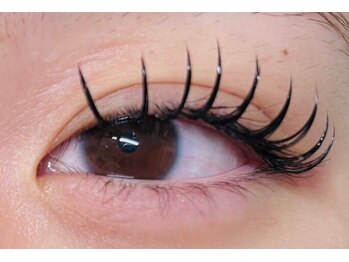 ラシック(Lachic)/バインドロック100束