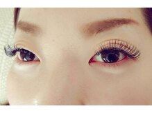 ルピナス(Lupinus)/ボリュームラッシュ600本