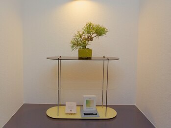 フィル 名駅店(fil)/【松の盆栽とお香がお迎え】