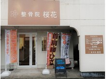 桜花の雰囲気(何でもお気軽にご相談ください。)