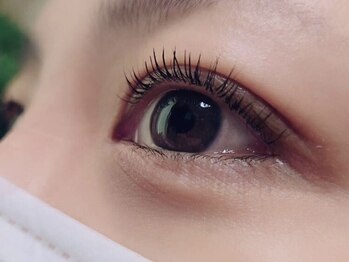 ベティ(Betty)の写真/《パリジェンヌ取扱い☆/まつ毛パーマ》自分に似合う上品な理想の目元に♪自まつ毛をしっかりケア◎