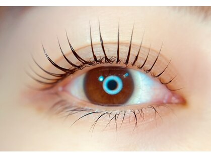 プティット シュシュ(Petit Chouchou)の写真