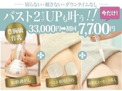 美人バスト 岡山店の写真