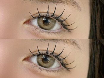 トムテ(tomte)/ダブルフラットラッシュ