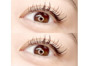 フーフロー(Fooflow)/フラットラッシュ120本