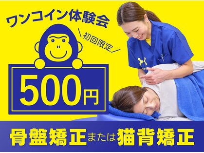 ほねごり接骨院・はりきゅう院 青葉台院 【3/28 NEW OPEN(予定)】 の写真