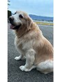 マル(maru) 大きな天使と暮らしてます!