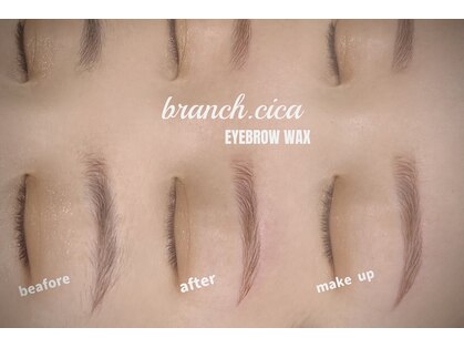 branch.cicaの写真