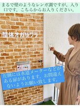 整体オガサワラ/レンガ調扉の向こうがオガサワラ