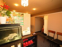 ゴゴゴ(555)/大きな鯉がお出迎え！