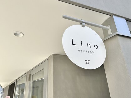 リノ(Lino)の写真
