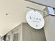 リノ(Lino)の写真