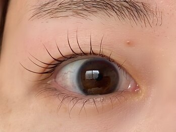 マギバイバディ 宇都宮店(magi by BUDDY)/ラッシュリフト