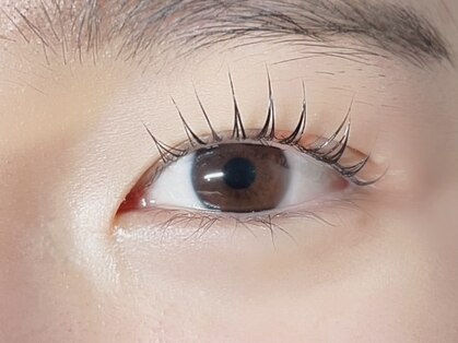 ニコットラッシュ(nicotto.lash)の写真