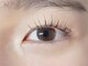 ニコットラッシュ(nicotto.lash)の写真