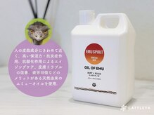 カトレア(CATTLEYA)の雰囲気（天然由来成分100%『エミューオイル』(高保湿抗酸化作用)で施術♪）