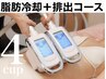 脂肪冷却4カップ＋脂肪分解溶液導入＋クワッドキャビ＋筋膜リリース