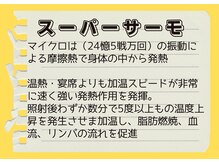 ビヒトジャパン 町田相模原/ビック ダイエット 痩身 エステ