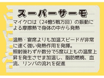 ビヒトジャパン 町田相模原/ビック ダイエット 痩身 エステ