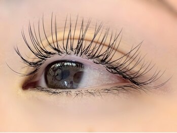 プレモ(Premo)/フラットラッシュ120本