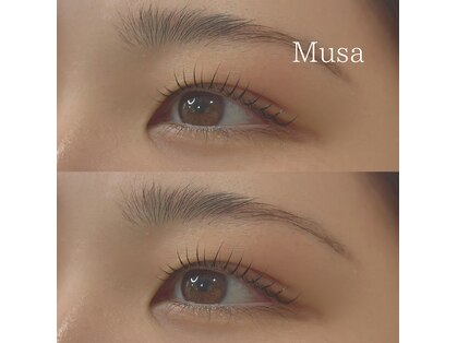ムーザ(Musa)の写真