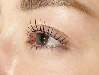 リファイン(Refine)/