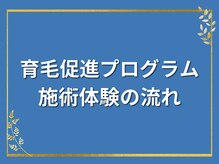 ジタ整体院/育毛促進プログラム体験