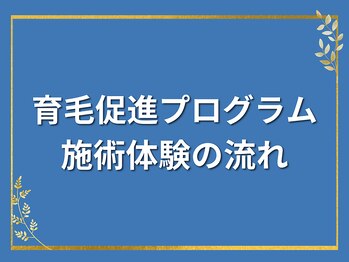 ジタ整体院/育毛促進プログラム体験
