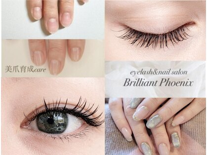 ブリリアントフェニックス(Brilliant Phoenix)の写真