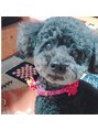 アンクビューティーサロン 十三店(Ankh)&nbsp;愛犬です♪♪