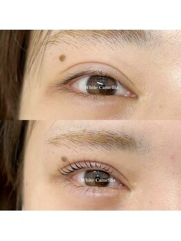 ホワイトカメリア 難波心斎橋店(WhiteCamellia)/まつ毛パーマ/マツエクサロン