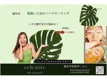 フェイシャルサロン セレスタイトの雰囲気（オーガニックハーブピーリングパウダーとエクソソームを浸透）