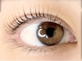 プレモ(Premo)/立ち上げパーマ