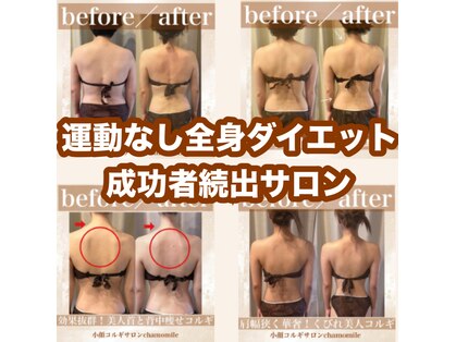 カモミール(chamomile)の写真