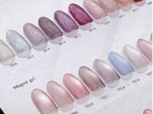 Salon de Etoile 【パラジェル・フィルイン導入店】/粒子サイズ様々マグネットネイル