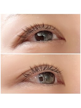 アマル (AMAL)/フラットラッシュLED変更可80本