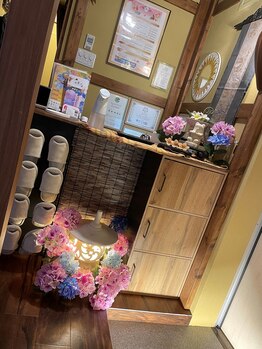 美楽流(miracle)/紫陽花