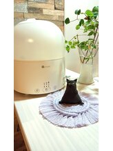 ランポ(Lampo)/加湿器とニャン