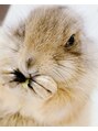ブラン ネージュ(Blanc Neige) お家ではプレイリードックを飼ってます♪